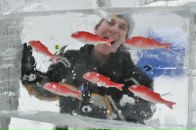 Евгений Иванов фотография #38 (источник - https://vk.com/id780190)