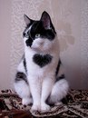 Юлия Башер фотография #23 (источник - https://vk.com/id119043561)