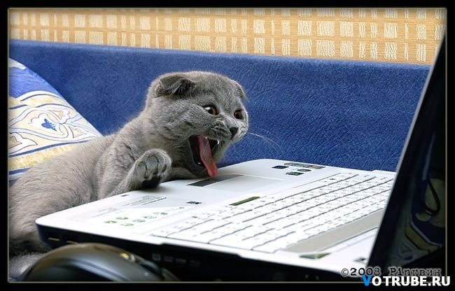 Миша Ривный фотография #5